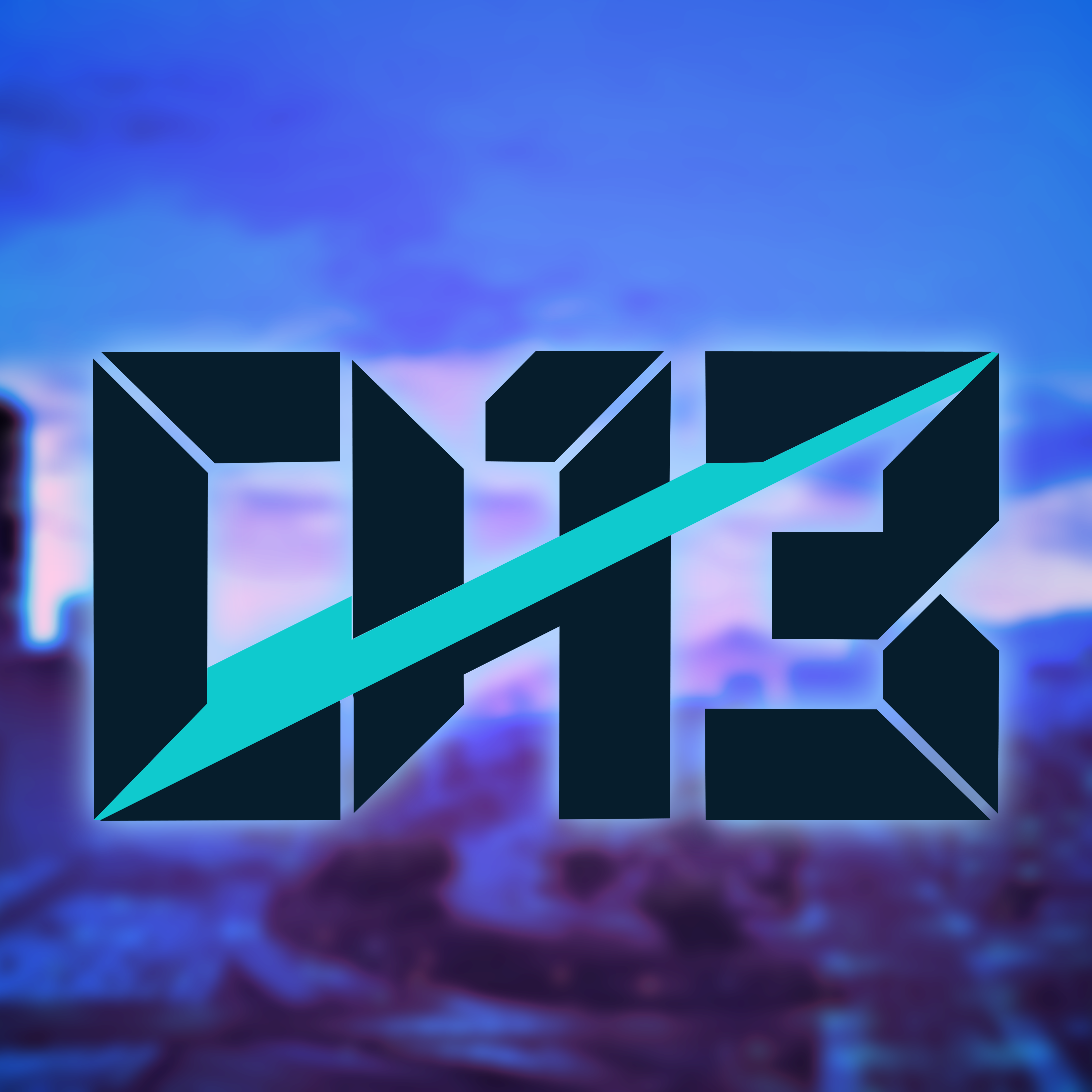 District13 Logo